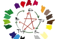 Màu Phong Thủy trong Thiết Kế Văn Phòng 